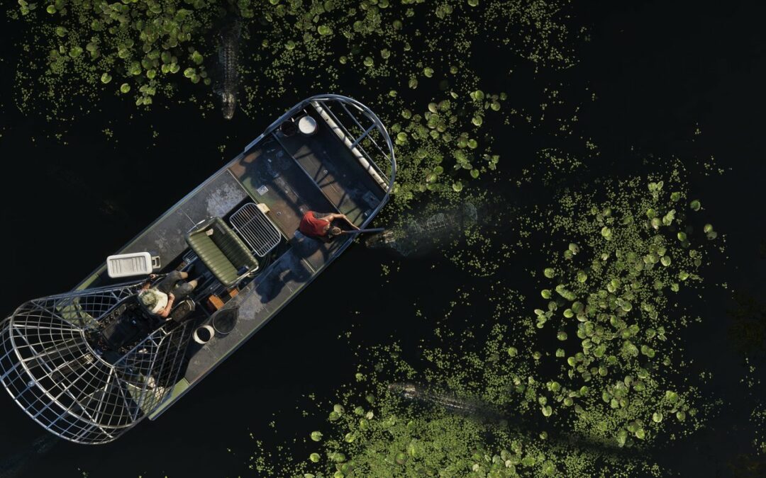GTA 6 Grassrivers : alligators, airboats et les pires secrets des marais de Leonida