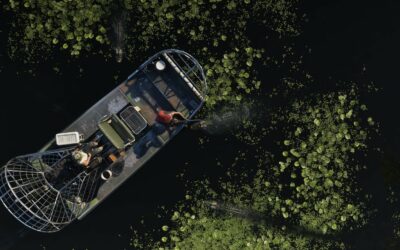 GTA 6 Grassrivers : alligators, airboats et les pires secrets des marais de Leonida